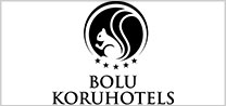 bolu-hotel